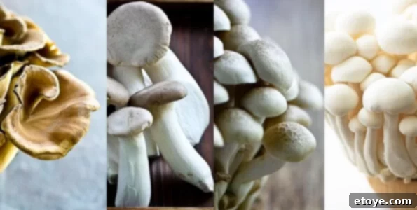 japanese-mushroom-medley