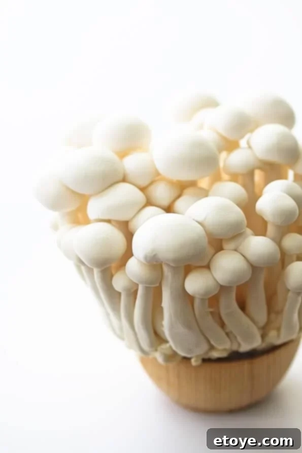 japanese-white-beech-mushroom