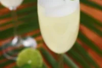 Ginger Lime Mint Sparkler