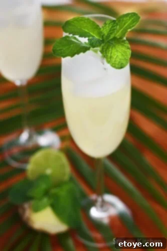 Sparkling Ginger Lime & Mint Cooler - The Ultimate Thirst Quencher Refreshing Sparkling Ginger Lime & Mint Cooler - A Perfect Summer Drink