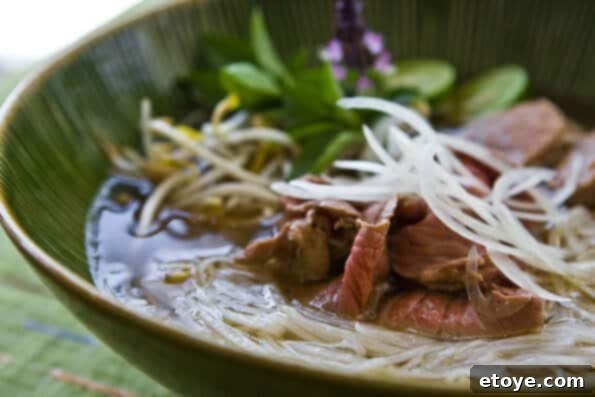 Crockpot Pho Recipe Preparing Pho in a Crock Pot