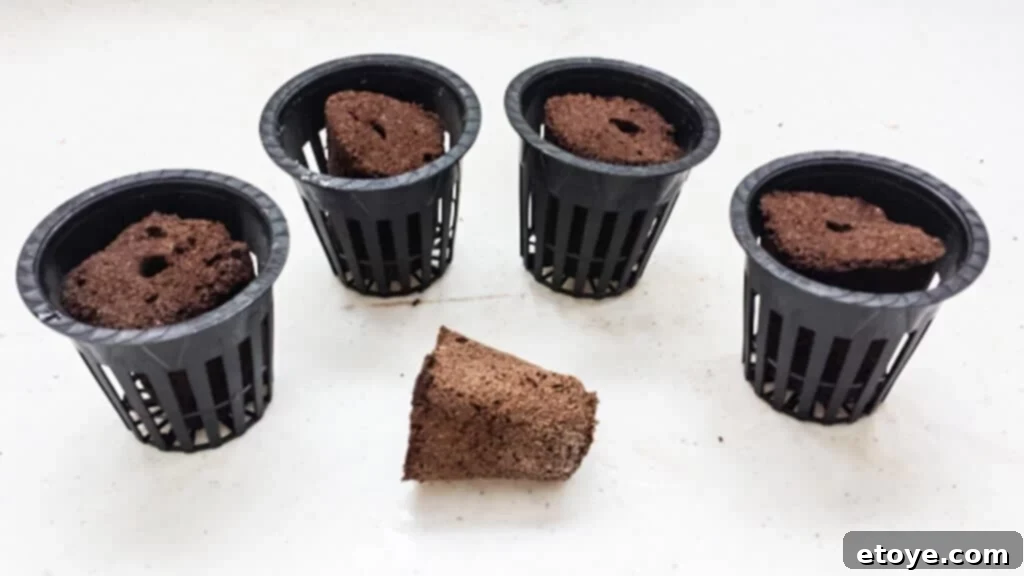 Securing Rapid Rooter Plugs with Additional Pieces