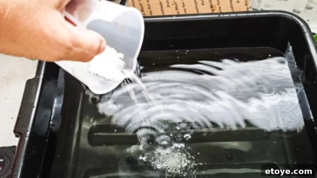 Testing pH of Hydroponic Nutrient Solution