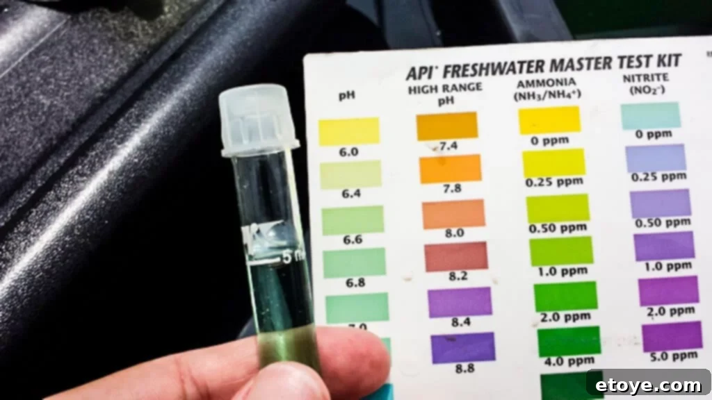 Placing Seedlings into Tub Hydroponics System