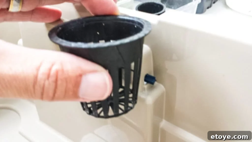 Net Cup Placement and Water Level Issue