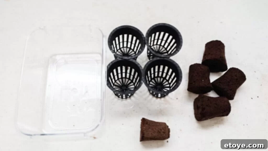 Placing Rapid Rooter Plugs in Net Cups