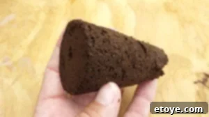 Grow plug for strawberry runner rooting