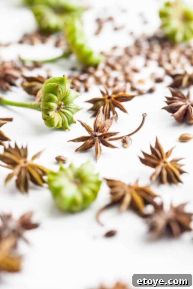 Aromatic Star Anise: Homegrown Excellence 4 A collection of star anise pods, some green and some drying, illustrating the transformation process