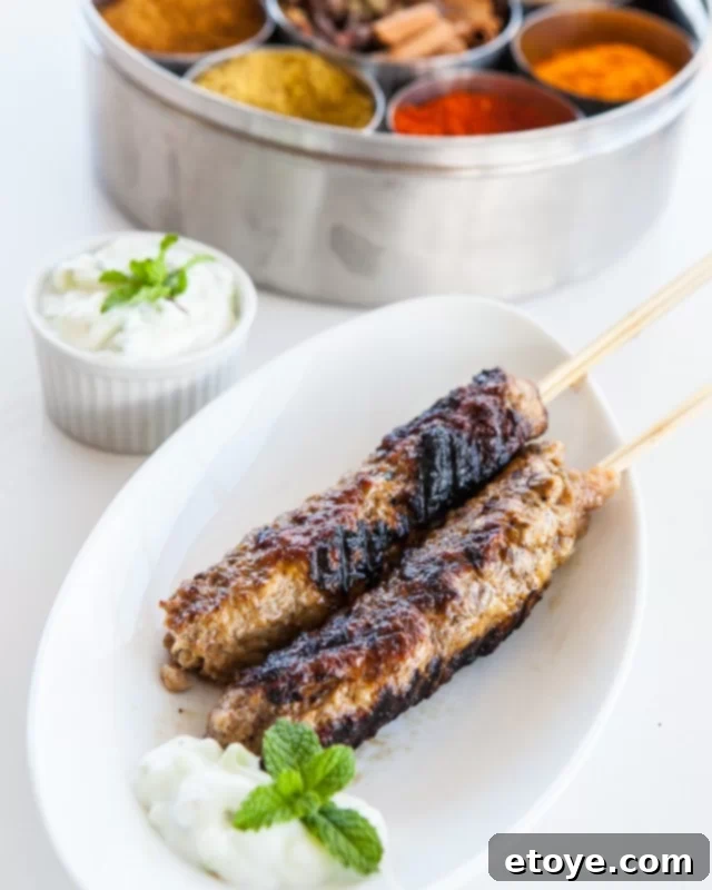 Fire-Kissed Kebabs 2 Grilled Kebabs Recipe
