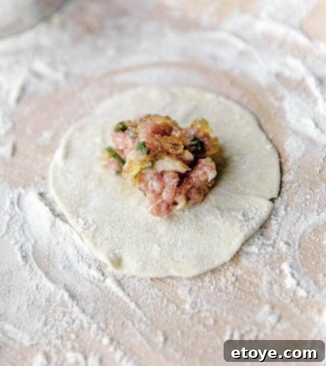 How to Make Pork and Crab Xiao Long Bao 4 chinese-soup-dumplings-recipe--2