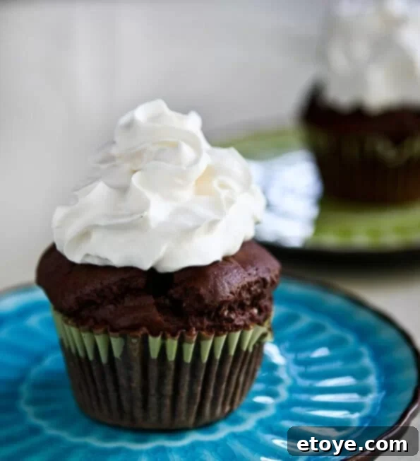 David Lebovitz Chocolate Yogurt Snack Cake Moist Chocolate Yogurt Snack Cakes by David Lebovitz, perfect for a treat.