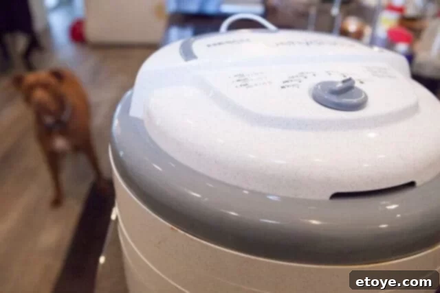 Korean BBQ Beef Jerky 7 Korean Beef Jerky Recipe - dehydrator filled with meat