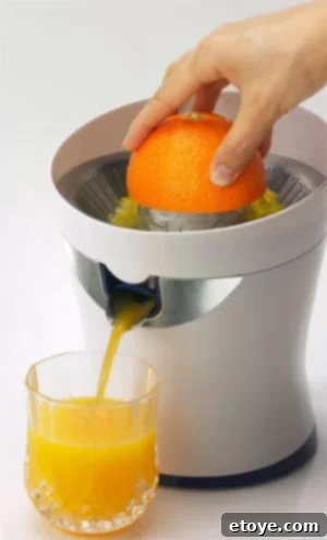 Tribest CitriStar Juicer - Steamy Kitchen Giveaway Tribest CitriStar Juicer - Efficient Juice Extraction