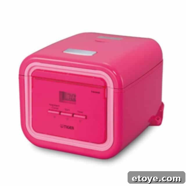 Tiger Rice Cooker - Steamy Kitchen Giveaway Tiger JAJ-A55U Rice Cooker in stylish design - Steamy Kitchen Giveaway