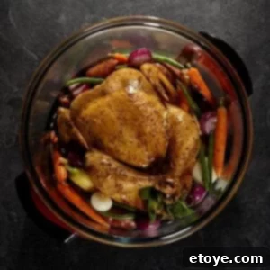 Robert Irvine 1300-Watt Halogen Oven with Extender Ring for Large Meals