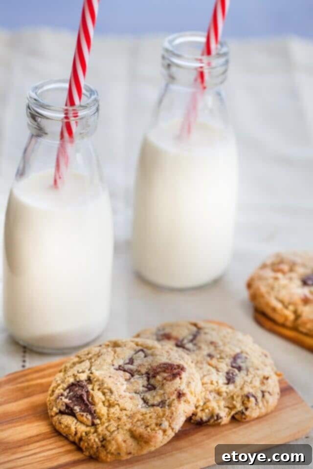 Chocolate Chip Hazelnut Cookie Recipe Dorie Greenspan Chocolate Chip Hazelnut Cookie Recipe Dorie Greenspan