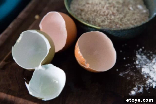 Chocolate Chip Hazelnut Cookie Recipe Dorie Greenspan Chocolate Chip Hazelnut Cookie Recipe Dorie Greenspan