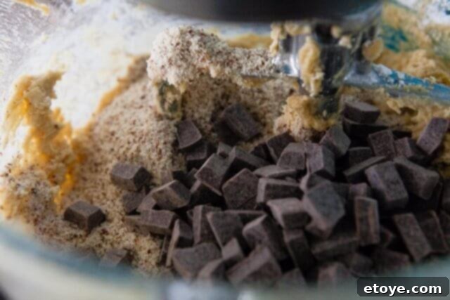 Chocolate Chip Hazelnut Cookie Recipe Dorie Greenspan Chocolate Chip Hazelnut Cookie Recipe Dorie Greenspan