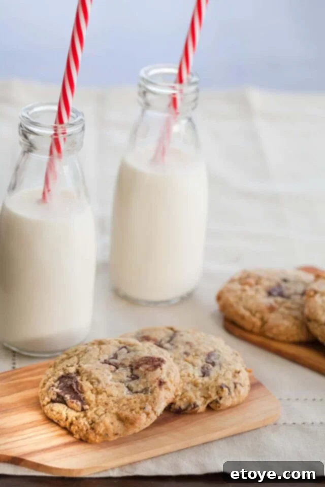 Chocolate Chip Hazelnut Cookie Recipe Dorie Greenspan Chocolate Chip Hazelnut Cookie Recipe Dorie Greenspan