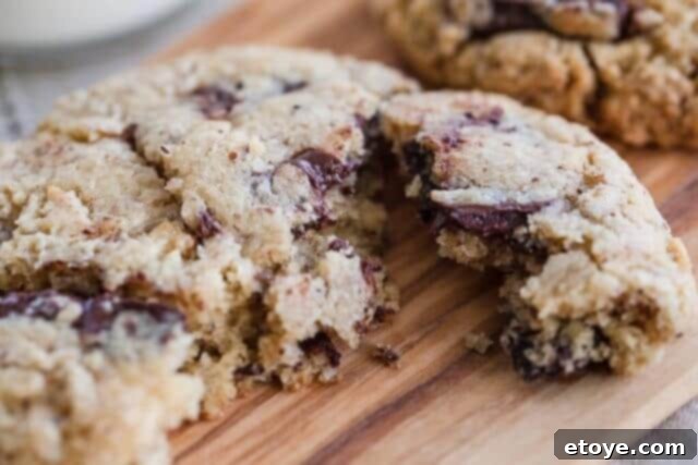 Chocolate Chip Hazelnut Cookie Recipe Dorie Greenspan Chocolate Chip Hazelnut Cookie Recipe Dorie Greenspan