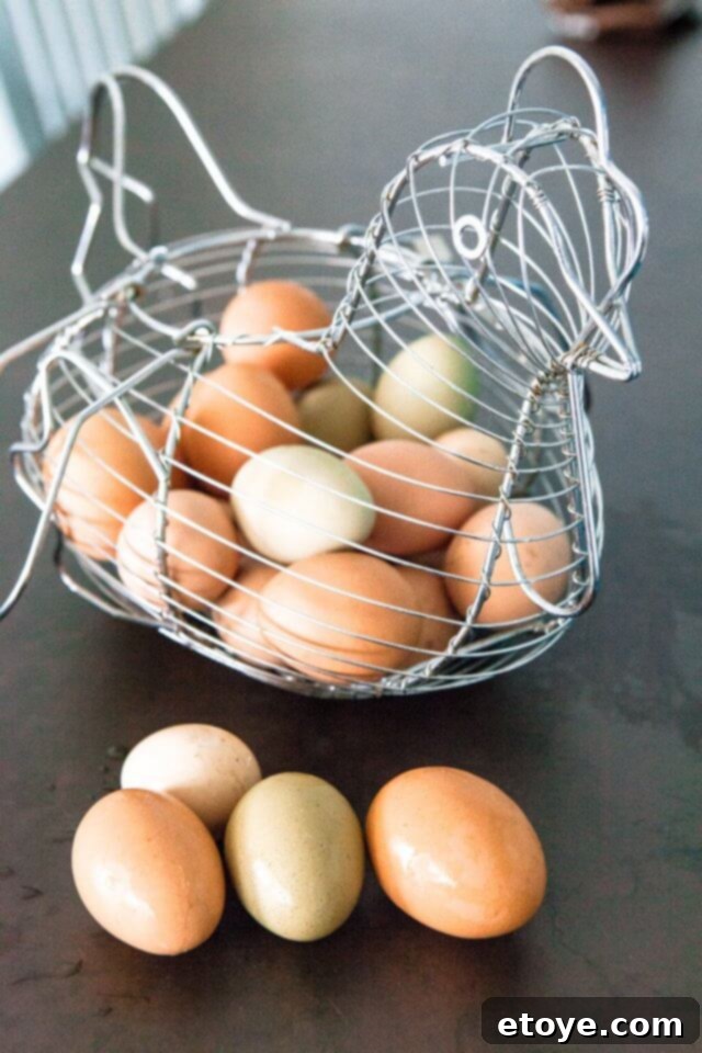 Chocolate Chip Hazelnut Cookie Recipe Dorie Greenspan Chocolate Chip Hazelnut Cookie Recipe Dorie Greenspan