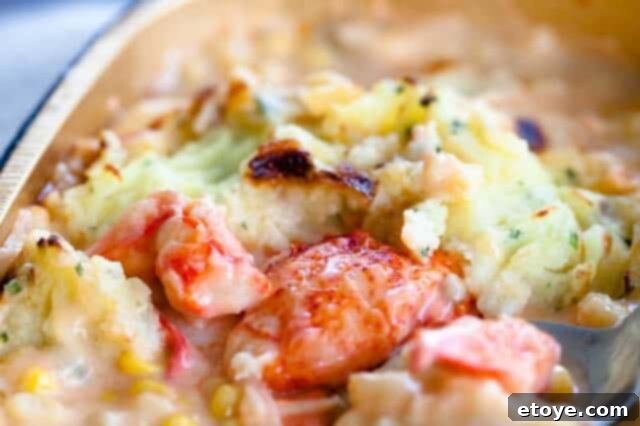 Win a Delicious Mariner's Pie from Hancock Gourmet Lobsters 7 Mariner's Pie showing lobster pieces throughout the dish