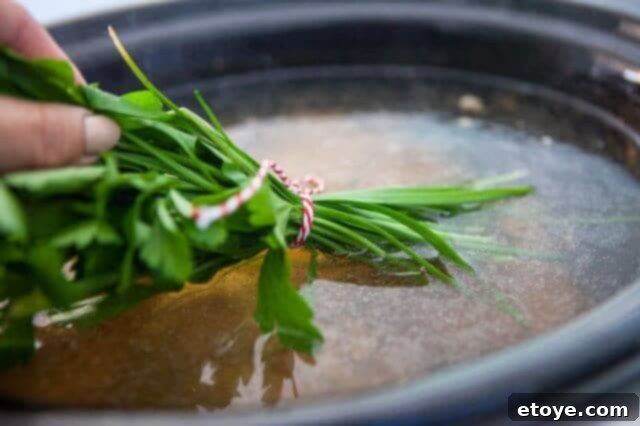 Slow Cooker Bone Broth Recipe - Asian discard spent herbs and add garlic chives and cilantro Slow Cooker Bone Broth Recipe - Asian discard spent herbs and add garlic chives and cilantro