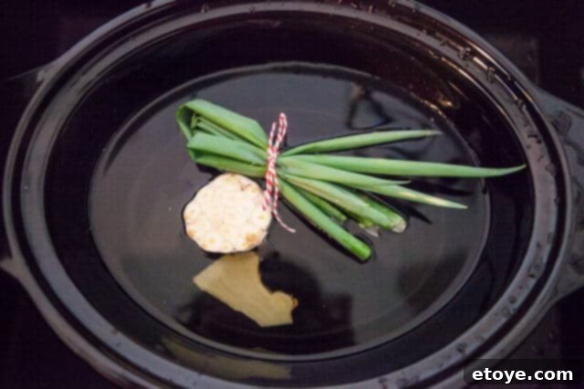 Slow Cooker Bone Broth Recipe - Asian Tie green onions with twine and slice ginger in half Slow Cooker Bone Broth Recipe - Asian Tie green onions with twine and slice ginger in half