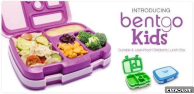 Bentgo Lunch Box Giveaway 2 Bentgo Lunch Box for Healthy Meals