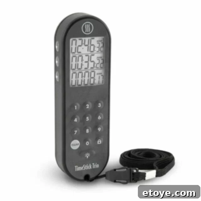 Giveaway: ThermoWorks TIMESTICK TRIO 2 timestick_trio_black_z_c