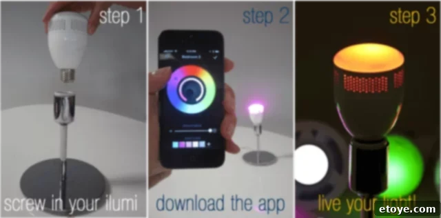 10217896a53b7ff7197878d9e9dc869f_original