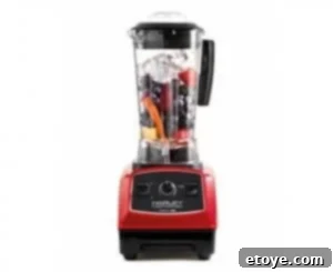 Salton Harley Pasternak Power Blender for Smoothies and Soups