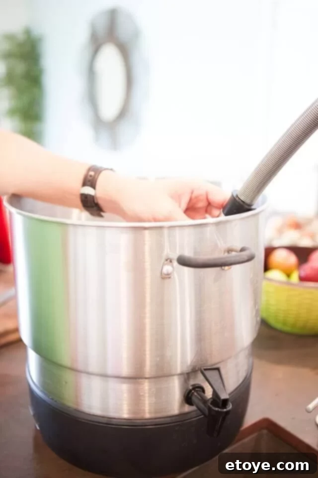 Ball FreshTech Electric Water Bath Canner and Multi-Cooker: Review and Win! 4 freshtech automatic canner review-4245