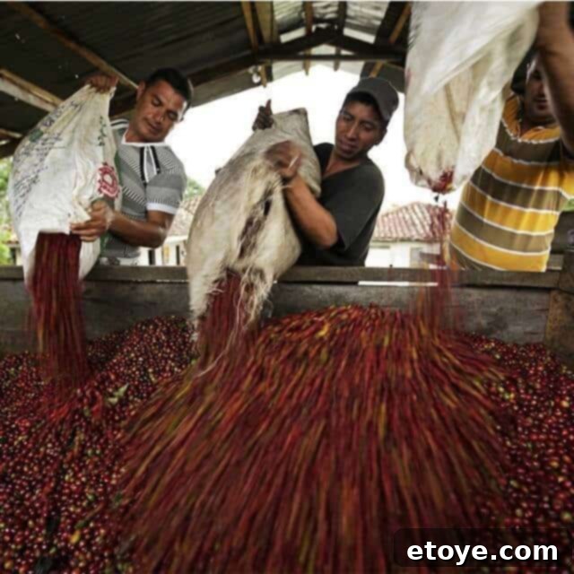 Cafe de Colombia Coffee In-Depth Review And Giveaway 4 Traditional Colombian coffee preparation