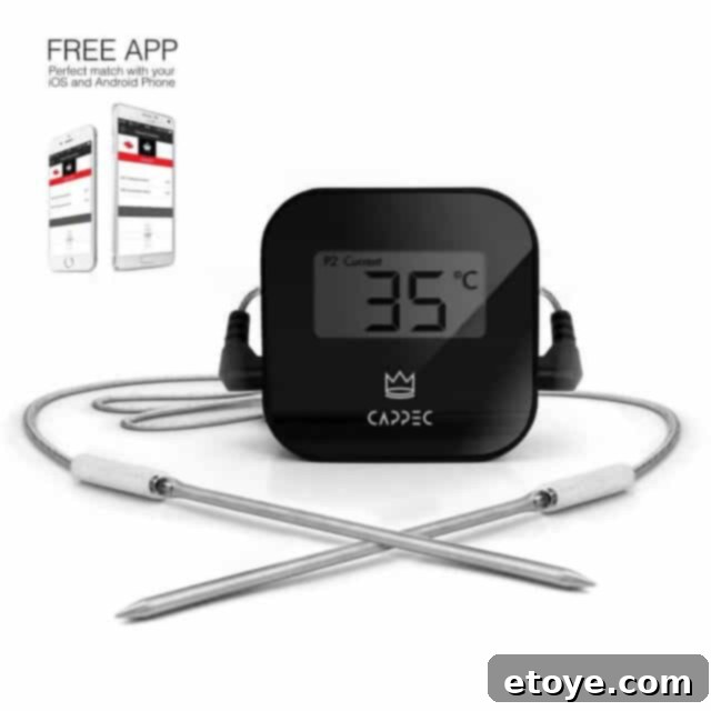 cappec bluetooth thermometer review