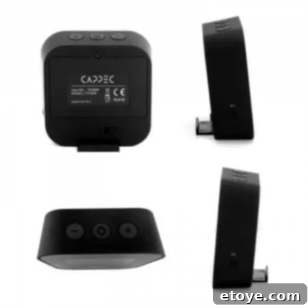 Cappec Bluetooth BBQ Thermometer