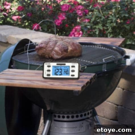 Taylor USA Smart Thermometer Review and Giveaway 3 Taylor USA Smart Thermometer in Action