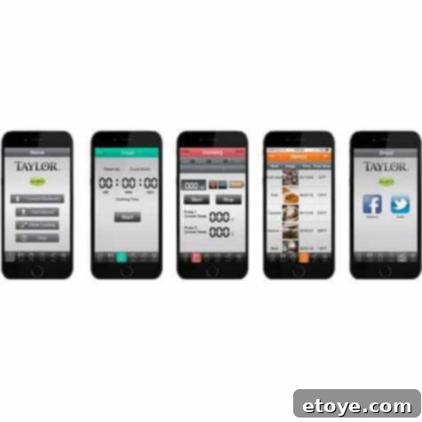 Taylor USA Smart Thermometer Review and Giveaway 4 Dual Probe Functionality of Taylor USA Smart Thermometer