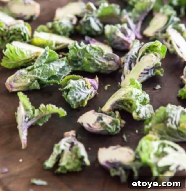 Roasted Garlic Parmesan Kale Sprouts 5 Halved Kale Sprouts and Smashed Garlic Cloves on a Baking Sheet