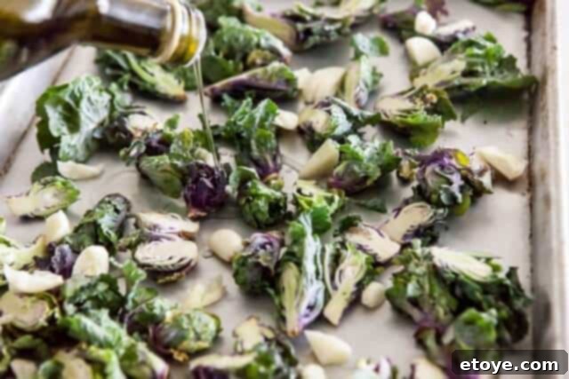 Roasted Garlic Parmesan Kale Sprouts 6 Kale Sprouts and Garlic Drizzled with Olive Oil, Ready for Roasting