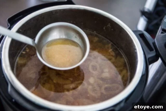 Quick Ramen Delight 16 instant pot Ramen Recipe - darker broth in ladle