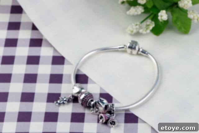 Soufeel charm bracelet with diverse charms