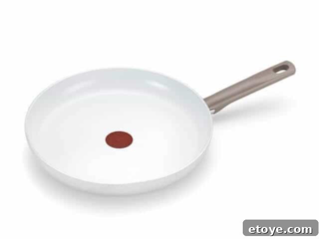 t-fal-ceramic-non-stick-pan-summer-cooking