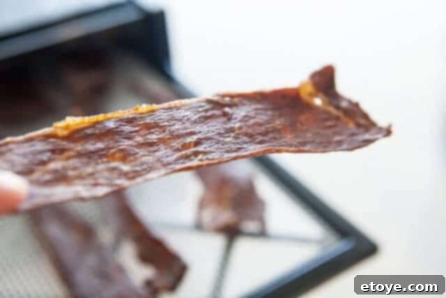 Excalibur Dehydrator Review and Giveaway 11 Another view of the thin, crispy beef jerky.