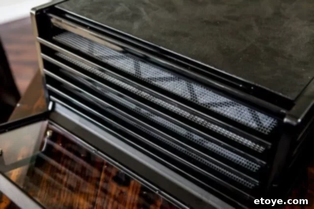 Excalibur Dehydrator Review and Giveaway 4 Excalibur Dehydrator with its door open, revealing the spacious interior and removable trays.