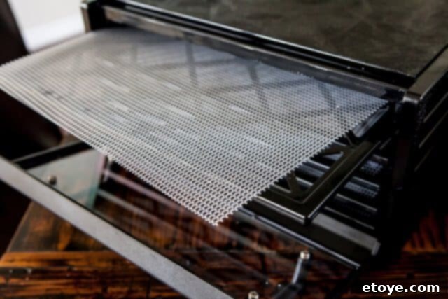 Excalibur Dehydrator Review and Giveaway 5 Close-up of Excalibur dehydrator's mesh trays, showcasing their easy-to-clean design.