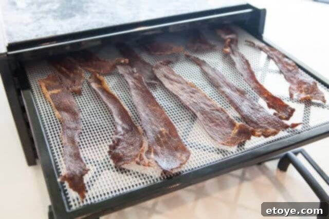 Excalibur Dehydrator Review and Giveaway 9 Crispy, thinly sliced beef jerky after dehydration.