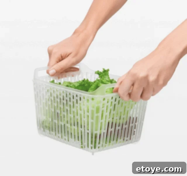 Keeps Produce Fresh Longer OXO Greensaver Review and Giveaway 4 OXO GreenSaver Container with Vent and Filter