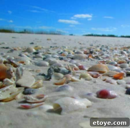 White sand on St. Pete Beach