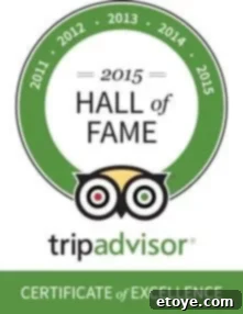 TripAdvisor logo